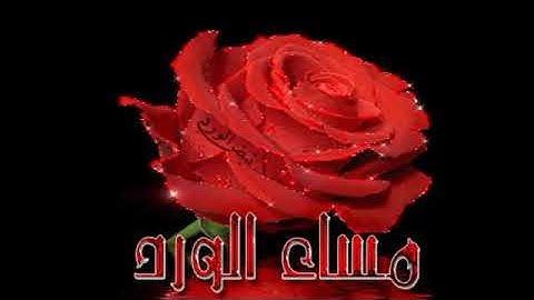 أجمل حالات واتس مسائية قصيرة🍃🌹أذكار المساء🌷مقاطع انستغرام♥استوريات مساء الورد