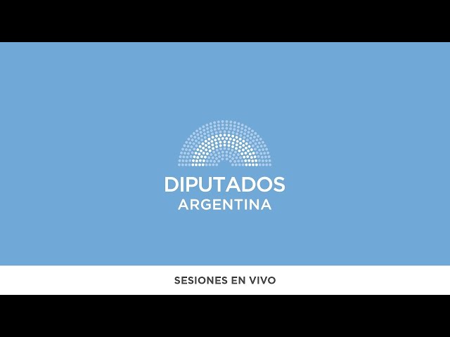 SESIÓN EN VIVO: H. Cámara de Diputados de la Nación - 28 de octubre de 2020