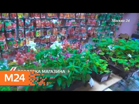 "Городской стандарт": семена - Москва 24
