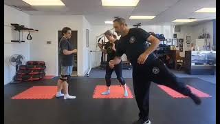 The Jeet Kune Do pendulum sidekick #martialarts #selfdefense #brucelee #jeetkunedo #wingchun #boxing