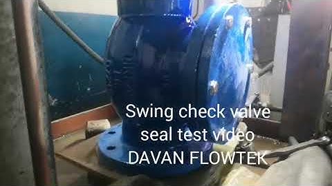 Swing check valve seal test video - - DAVAN FLOWTEK