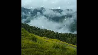 Aro nenjil manjaayi peunnaa neraam / WhatsApp status / Malayalam