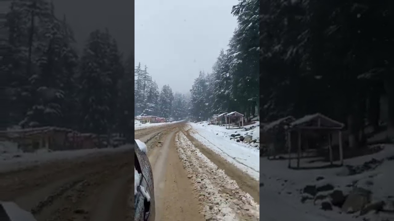 Beauty of Ushu jungle