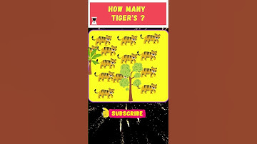 HOW MANY TIGER