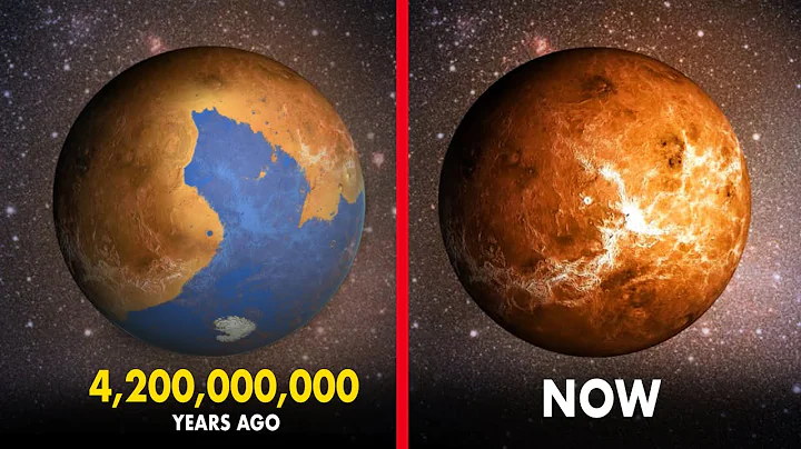 image for The Possibility of Life on Venus