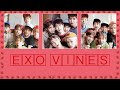 EXO vines to watch while relaxing at home