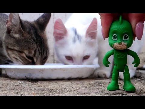 Видео: Видео для детей. Гигантские коты и Герои в Масках