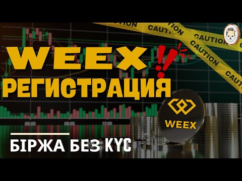 🚀 Weex -