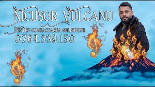 Nicușor Vulcanu  Toate Diamantele  Nunta Mugurel de la Paris & Elena Live 2021