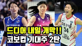 여자배구 코보컵 내일 개막, 각팀 기대주 특집 2탄 GS칼텍스, 흥국생명, IBK기업은행