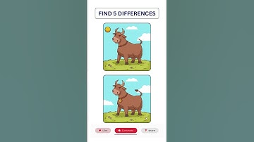 Can You Spot 5 Differences? | Spot the Difference Challenge #shorts