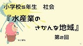 社会5年 中島先生 日本の水産業はどうなっているの 授業前半 Youtube