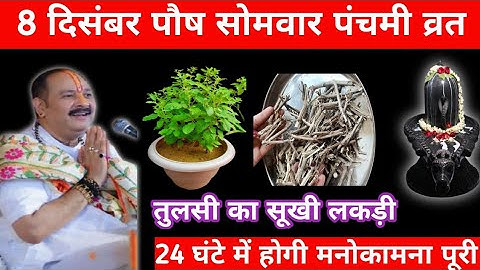 8 दिसंबर पौष सोमवार पंचमी व्रत के तुलसी का सूखी लकड़ी वाला उपाय जरूर करें pandit Pradeep Mishra ji |