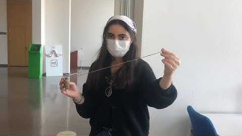 Physic 101 Lab Project (Bilkent University)