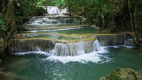 nhìn ngắm phong cảnh thác nước thiên nhiên chim hót du dương phong cảnh thiên nhiên 2