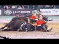 Musical Ride of The Household Cavalry Mounted Regiment (  Evening Performance)