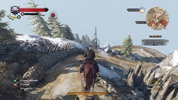 The Witcher 3: Wild Hunt Short but funny Roach glitch
