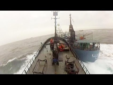 Videó: A Japán Bálnavadászok Felfüggesztik A Vadászatot, Hamarosan Befejezhetik A Missziót