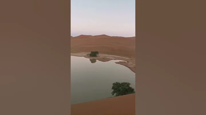 Have you ever seen a lake in a desert? 🏜️🐫 Here is one – in Namib Desert! - DayDayNews