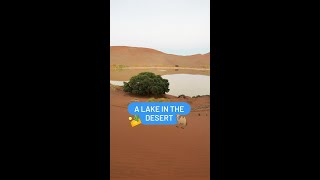 Have you ever seen a lake in a desert?  Here is one – in Namib Desert!