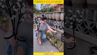 Firefly Solar Light