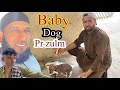 Road pr baby dog pr zulm