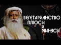 Про плюсы и минусы вегетарианства | Садхгуру и Гордон Рамзи