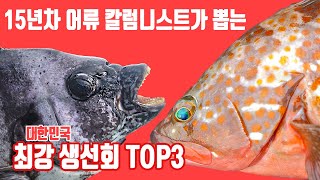 What is the most delicious sashimi in Korea? jiminTV's sashimi World Cup !!