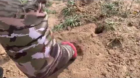 Interactive Predator Trapping Week Pt. 10 - The Management Advantage