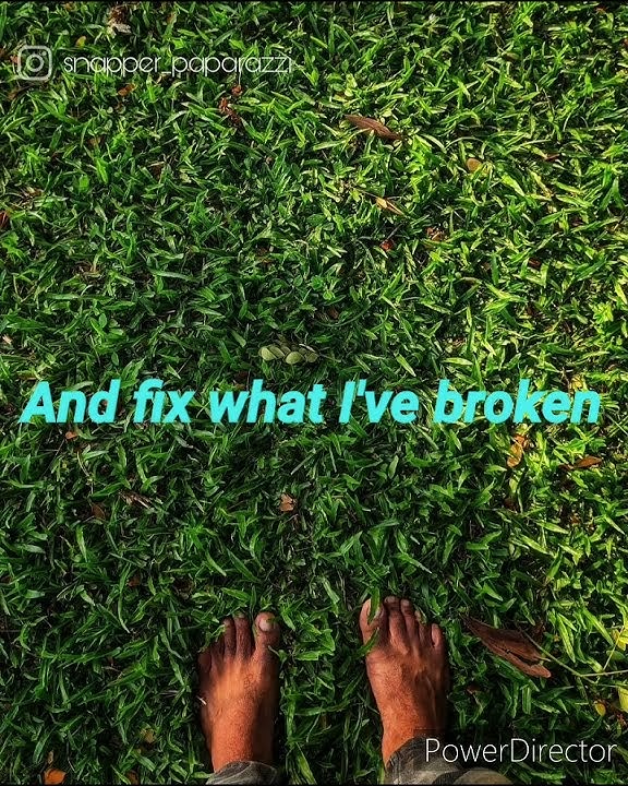 You Are The Reason | Calum Scott |