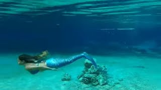 Mermaid Meet up at Rainbow Springs