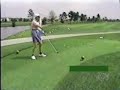 Golfer Hits Bird Accidentally