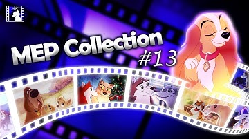 MEP Collection #13 - [November - December 2020]