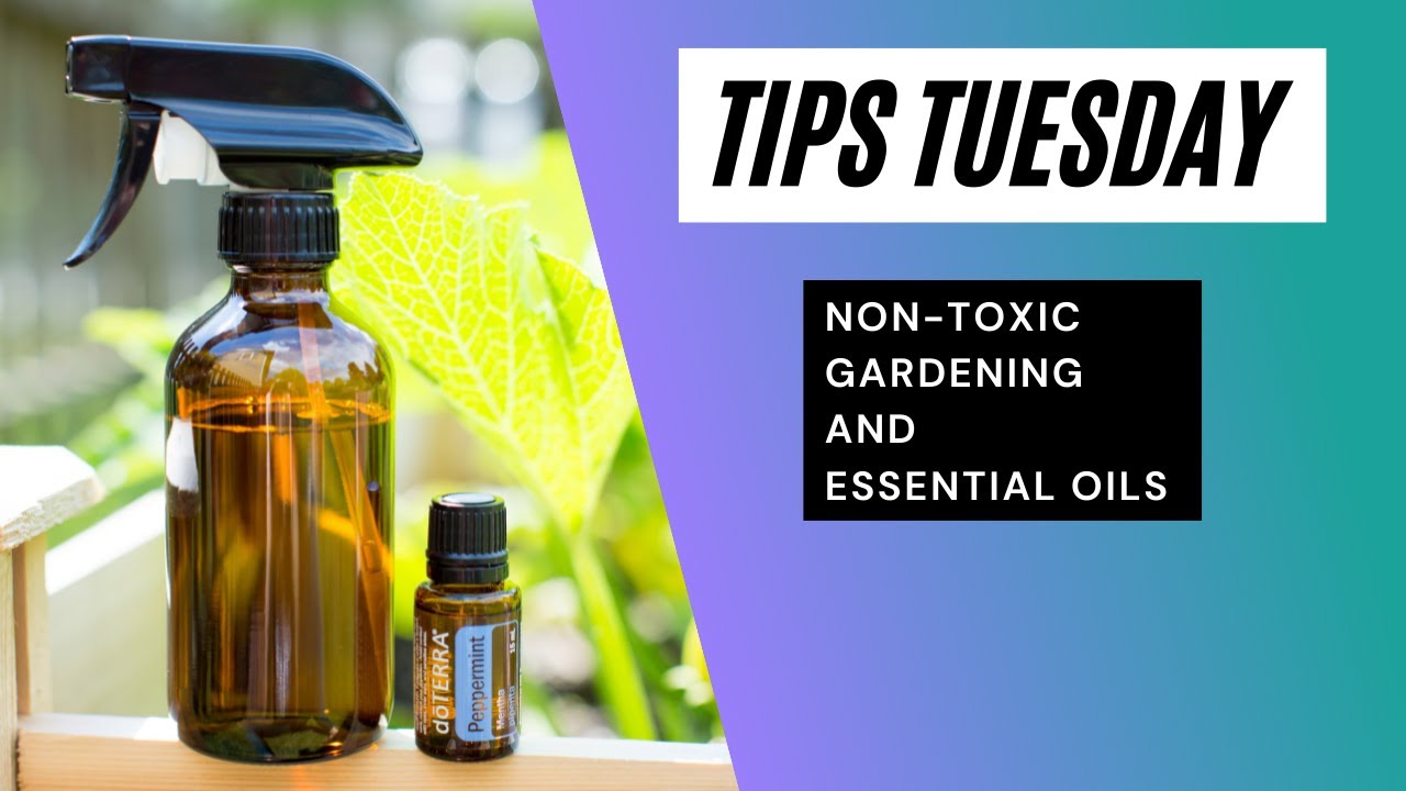 Tips Tuesday NonToxic Gardening With Essential Oils YouTube