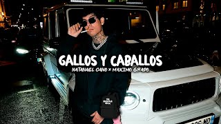 Natanael Cano X Maximo Grado - Gallos Y Caballos (Estudio 2025)