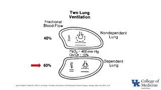 Respiratory Physiology Ventilation Perfusion Ratios - (Dr. Bowe)