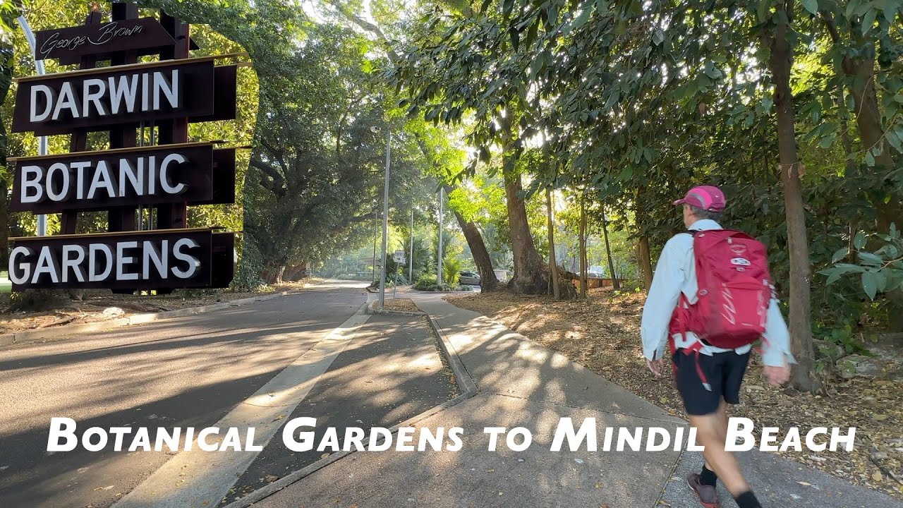 Best walks of the Top End of the NT #3 Botanical Gardens to Mindil Beach