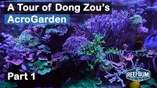 A Tour of Dong Zou's AcroGarden  Part 1