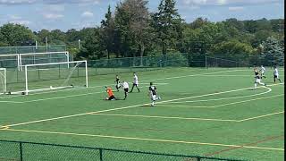 IMG 4567