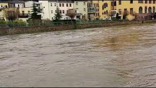 Hochwasser Waldheim Rathaus und Alte Zschopaubrücke