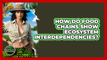How Do Food Chains Show Ecosystem Interdependencies? - Reptilian Wonders