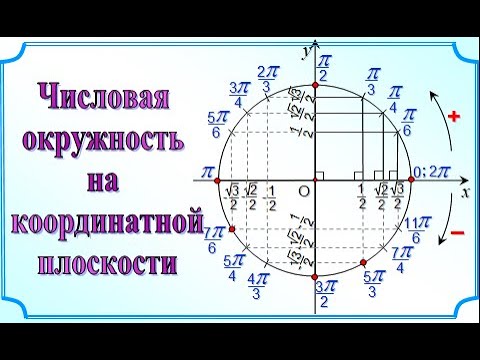 3  Единичная окружность на координатной плоскости  10 класс