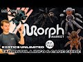 Exploring The Beautiful World Of Tarantulas & Care Guide With Exotics Unlimited