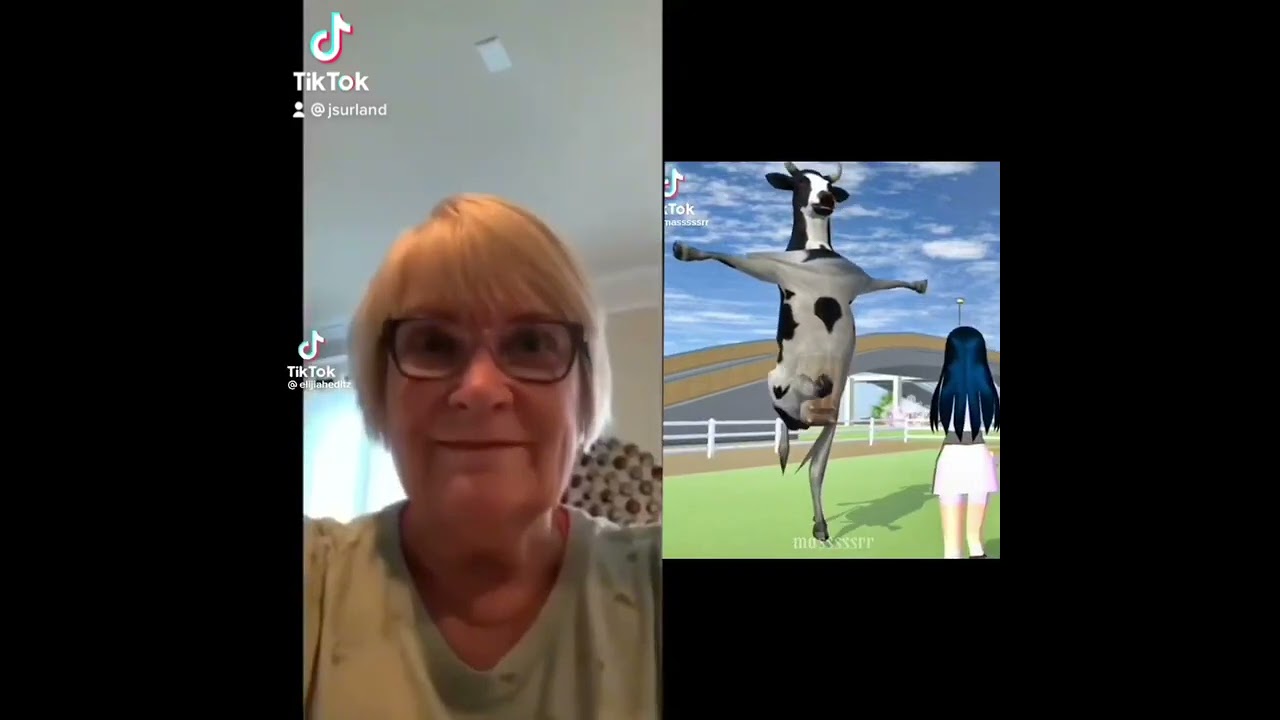 screaming old lady meme