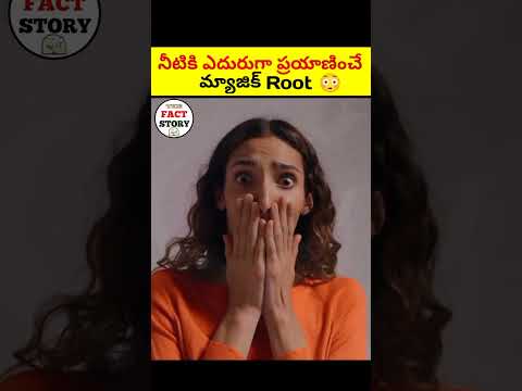 చివరి వరకు చూడండి 😳|🔥 intresting facts in telugu|#shorts #facts #viral #telugu #trending #leo