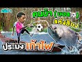 คลิป 1 | #ชูสุท คนบ้าบอลแห่งลิบง โค่นสวนยางทำสนามให้นักเรียน | SUPER100