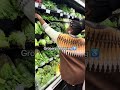 I love going grocery shopping. #disabilityisnotinability ♿️🦋✨