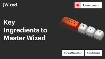 Key Concepts to become a Wized Expert