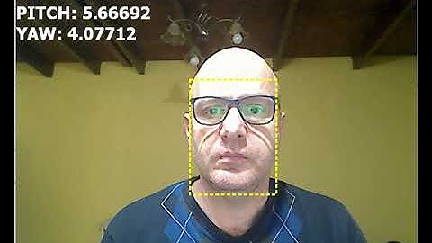 Face detection and head pose estimation
