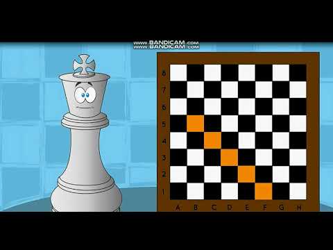 გაკვეთილი I ჭადრაკის დაფა და ნოტაცია